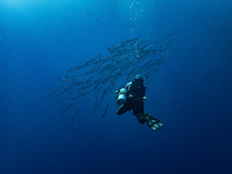 Snorkeling Mask
